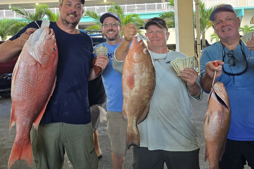 OFFSHORE - red snapper, red grouper and mangrove snapper