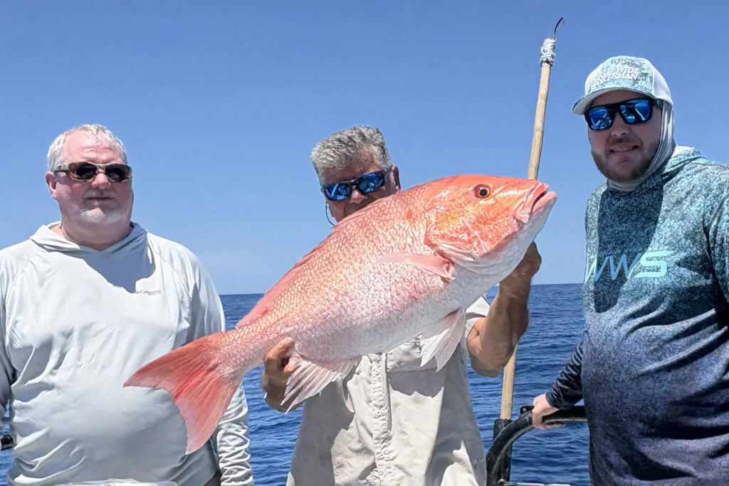 OFFSHORE-redsnapper