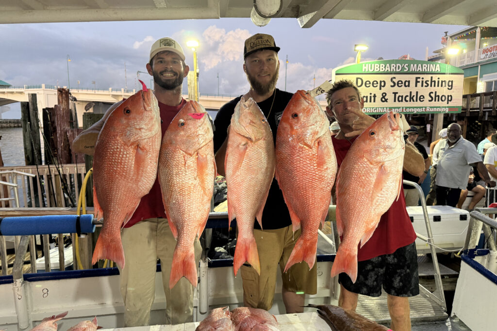 OFFSHORE-redsnapper-pile (1)