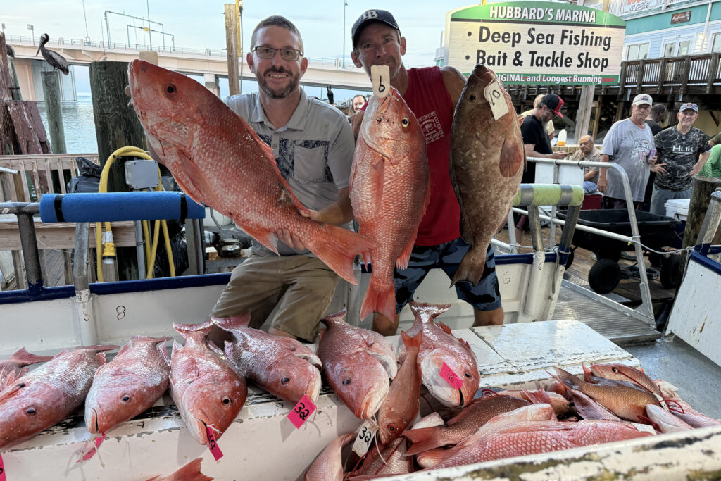 OFFSHORE-redsnapper-pile (2)