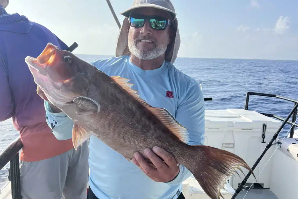 OFFSHORE - scamp grouper 2