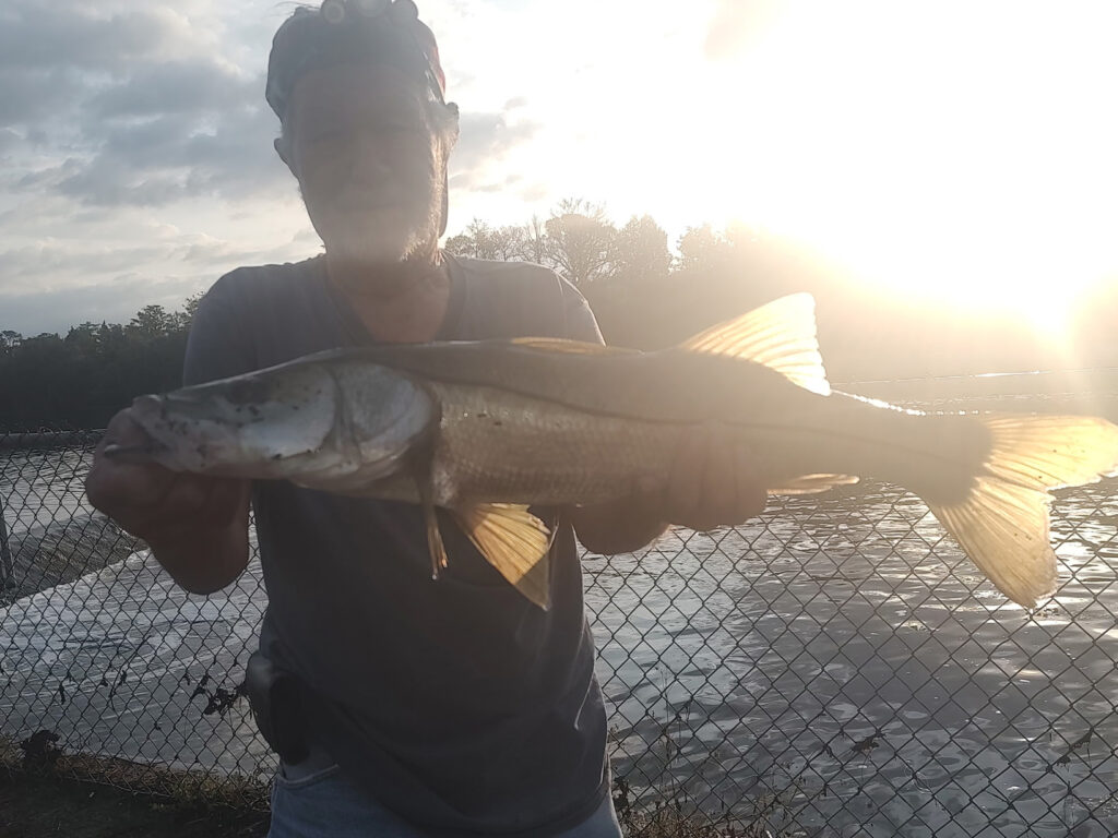 inshore (9)