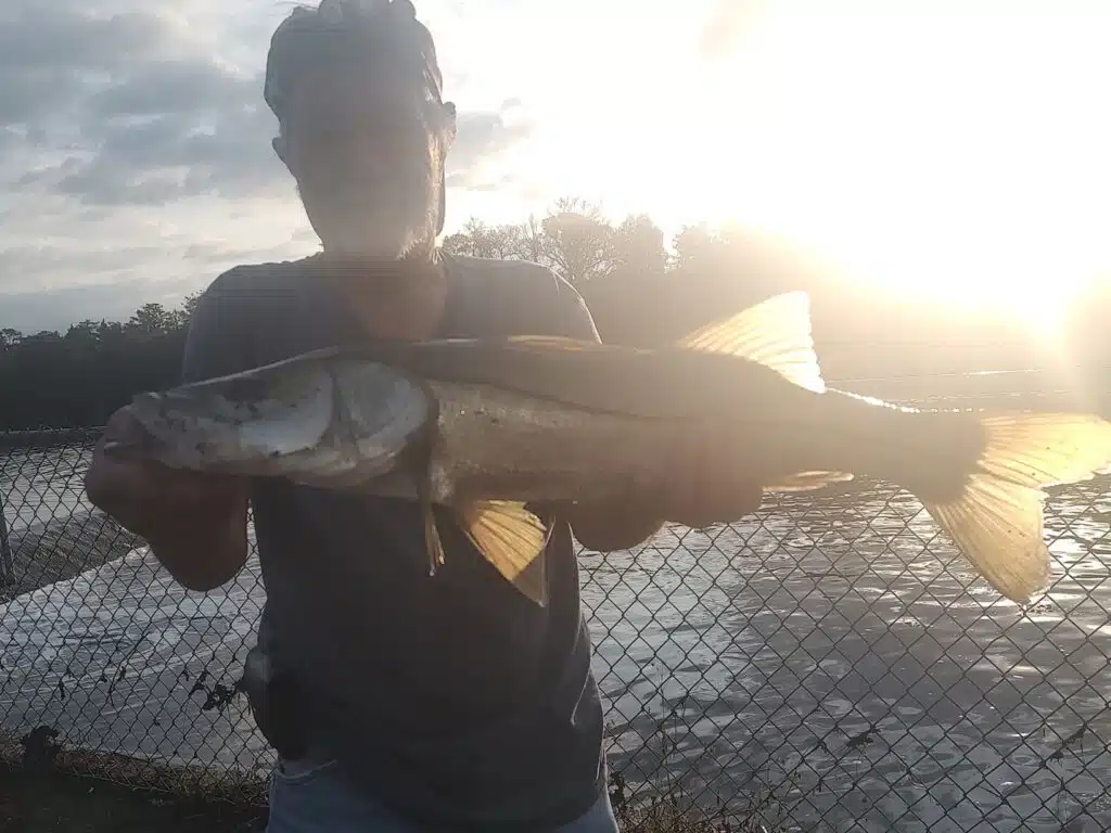 inshore (9)