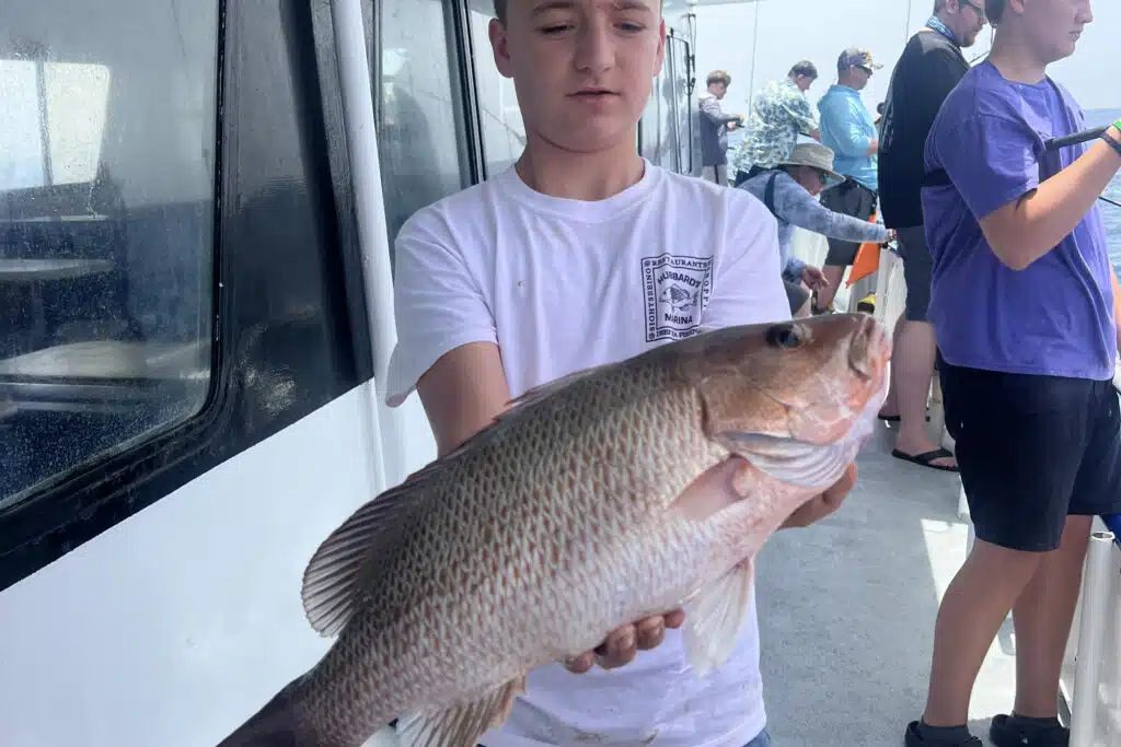 near shore - mangrove snapper