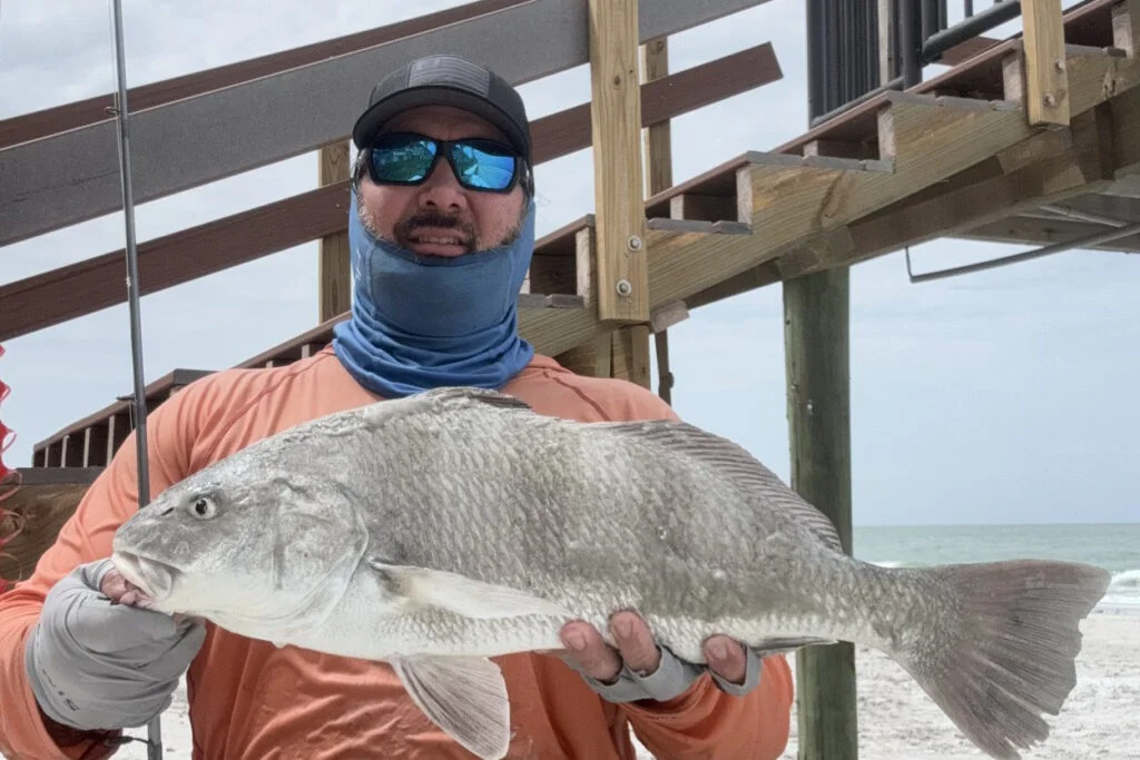 INSHORE-blackdrum