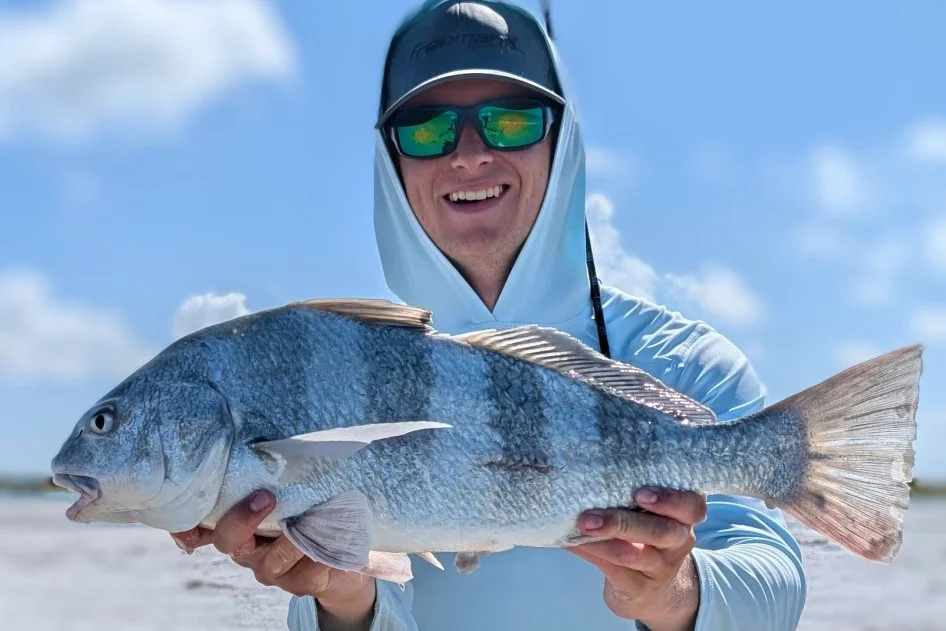 INSHORE-blackdrum