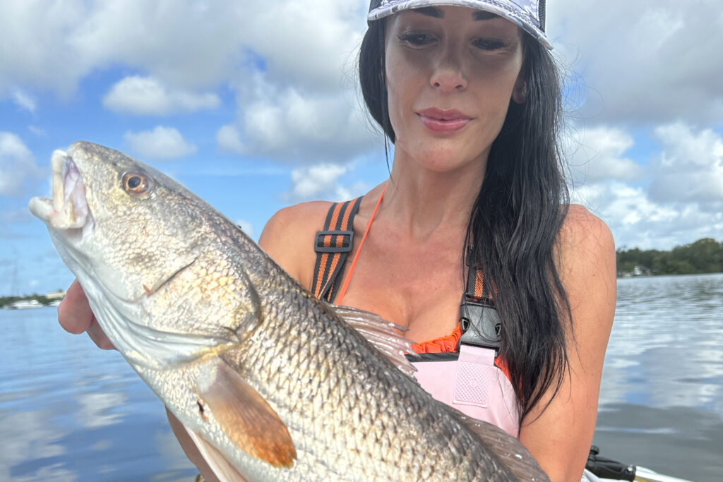 INSHORE-redfish