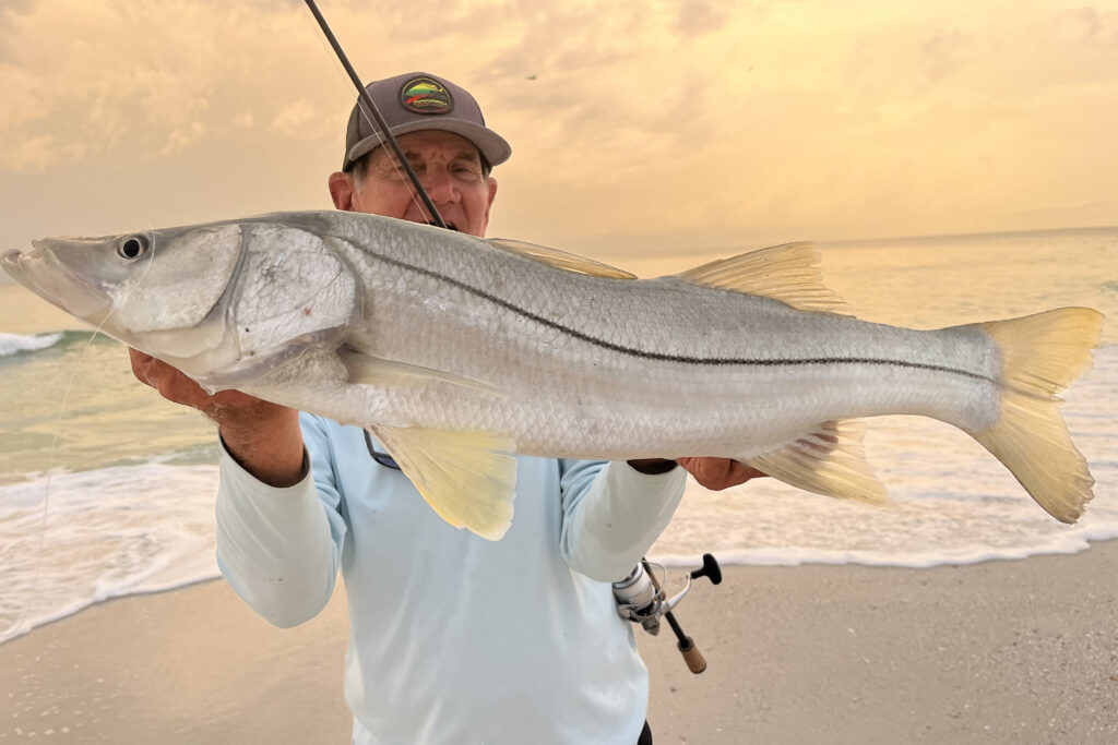 INSHORE-snook (1)