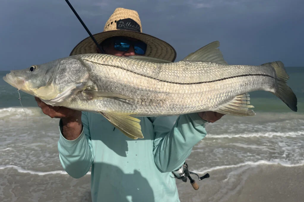 INSHORE-snook (2)