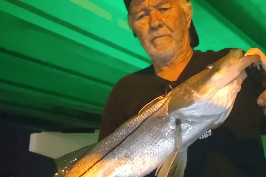 INSHORE-snook (4)