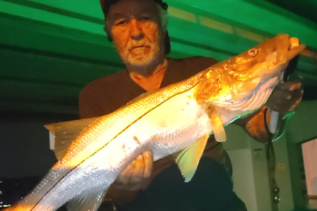 INSHORE-snook (5)