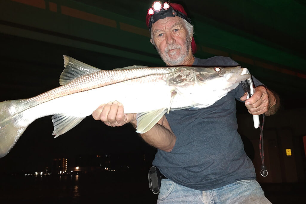 INSHORE-snook (6)