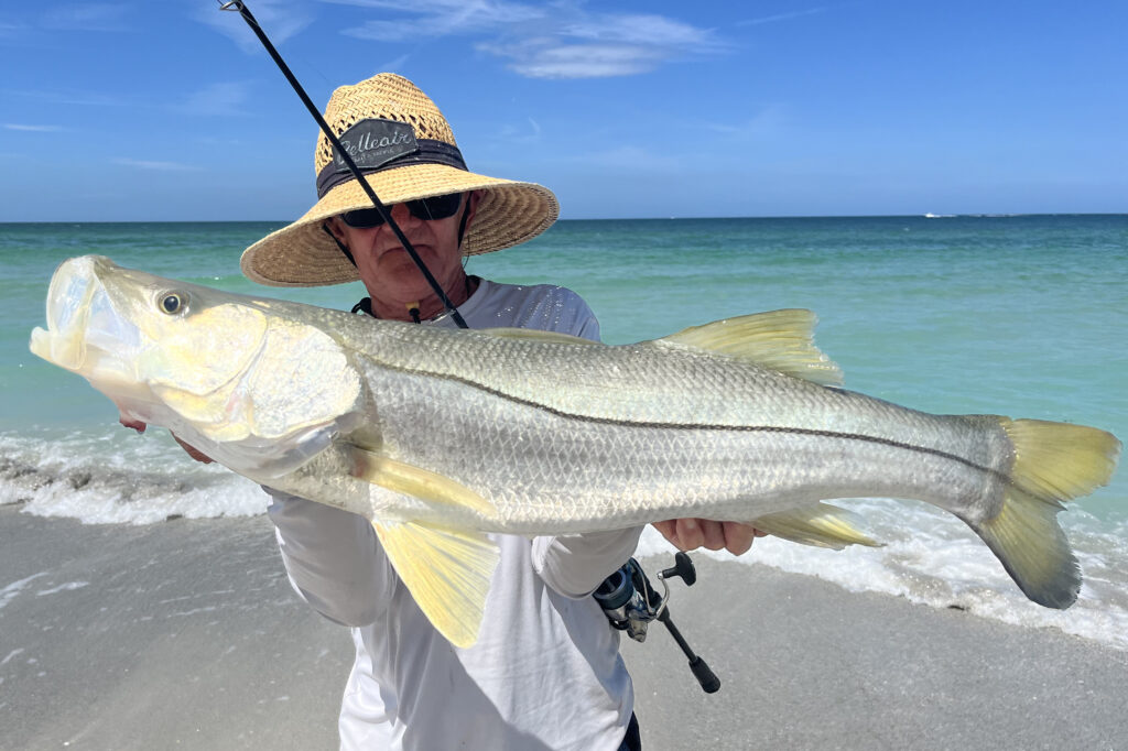 INSHORE-snook (7)