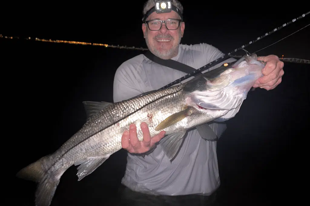 INSHORE-snook3