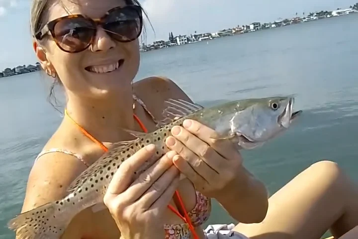 INSHORE-trout