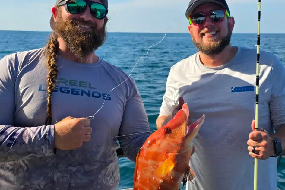 NEARSHORE-hogfish