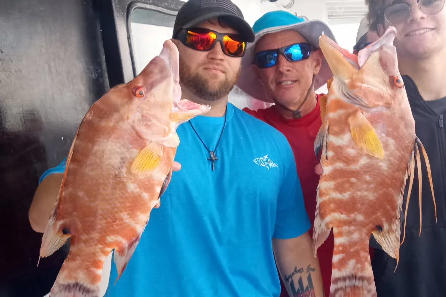 NEARSHORE-hogfish2