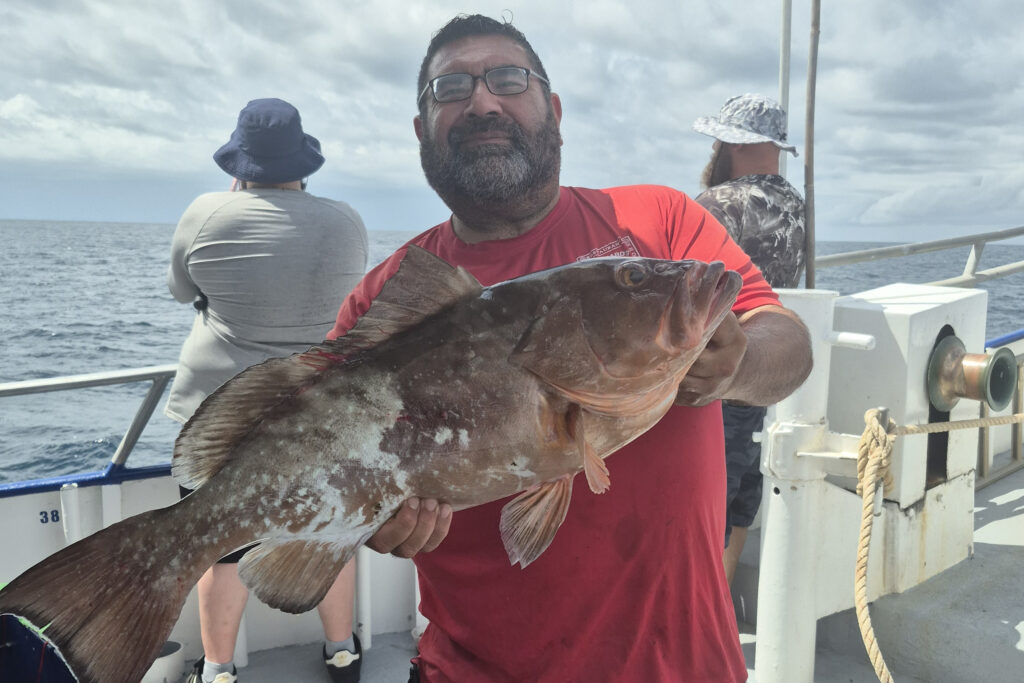 NEARSHORE-redgrouper