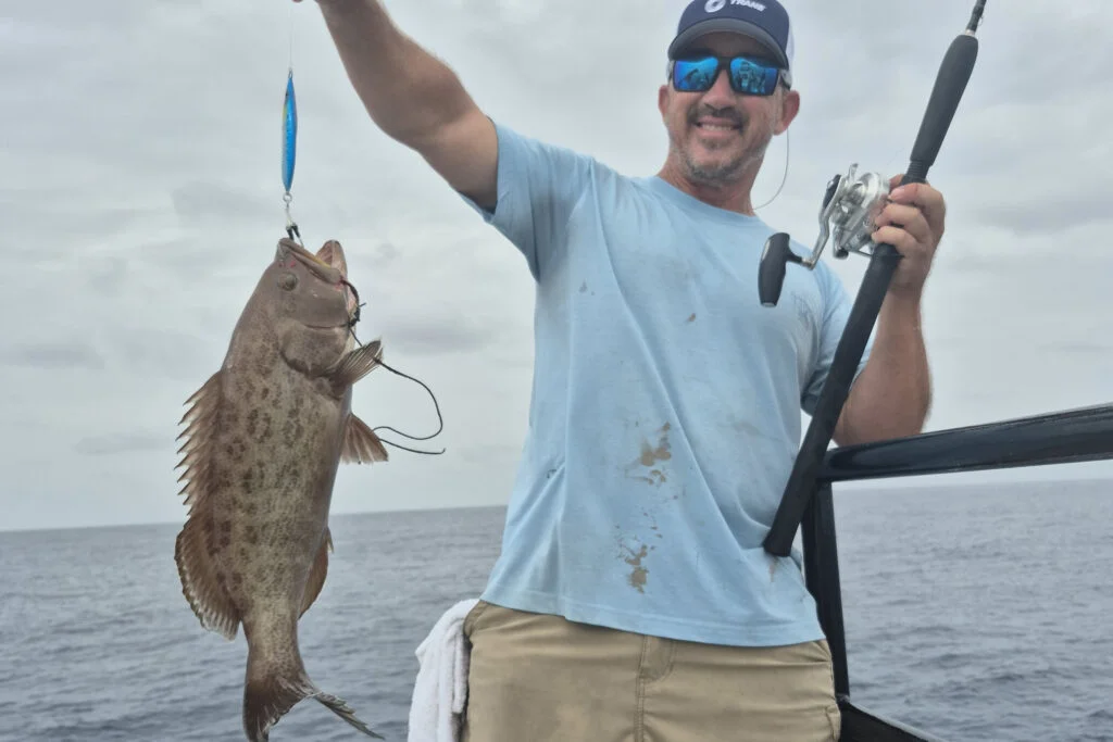 OFFSHORE-gaggrouper
