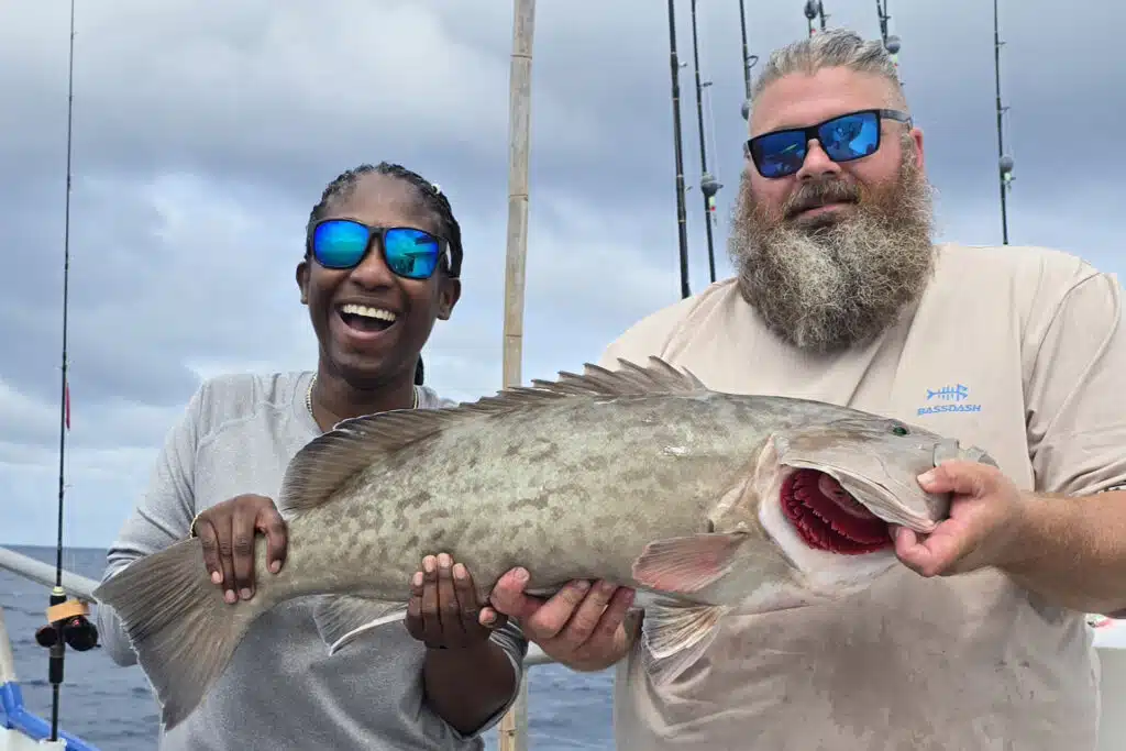 OFFSHORE-gaggrouper (2)