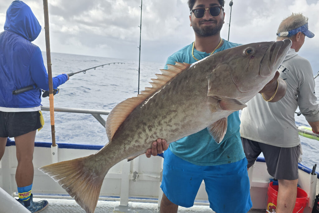 OFFSHORE-gaggrouper4-best