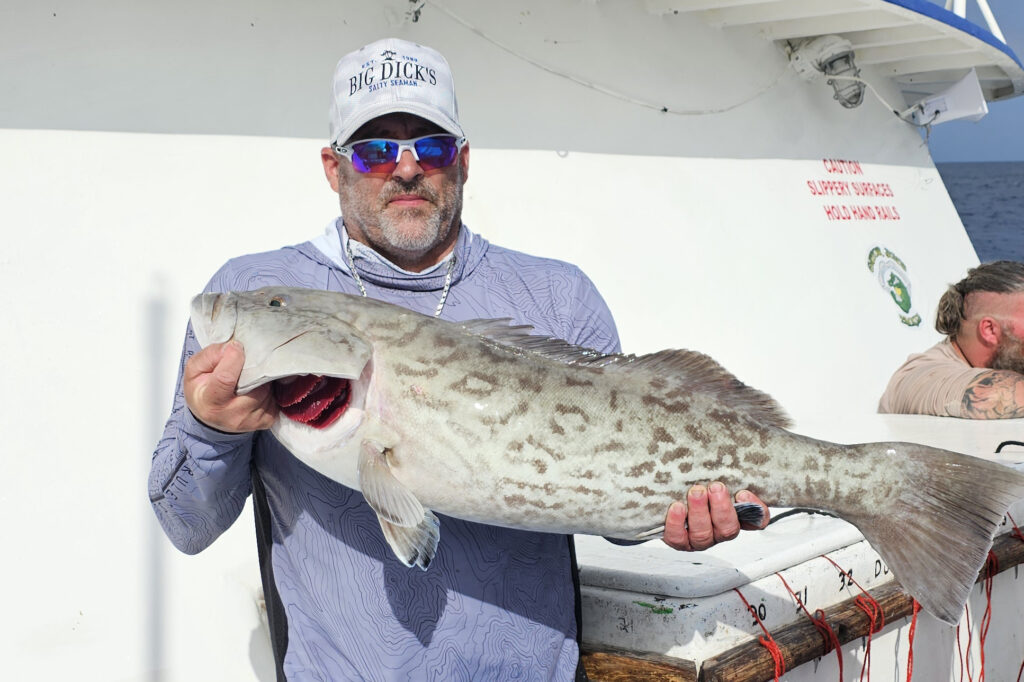 OFFSHORE-gaggrouper5