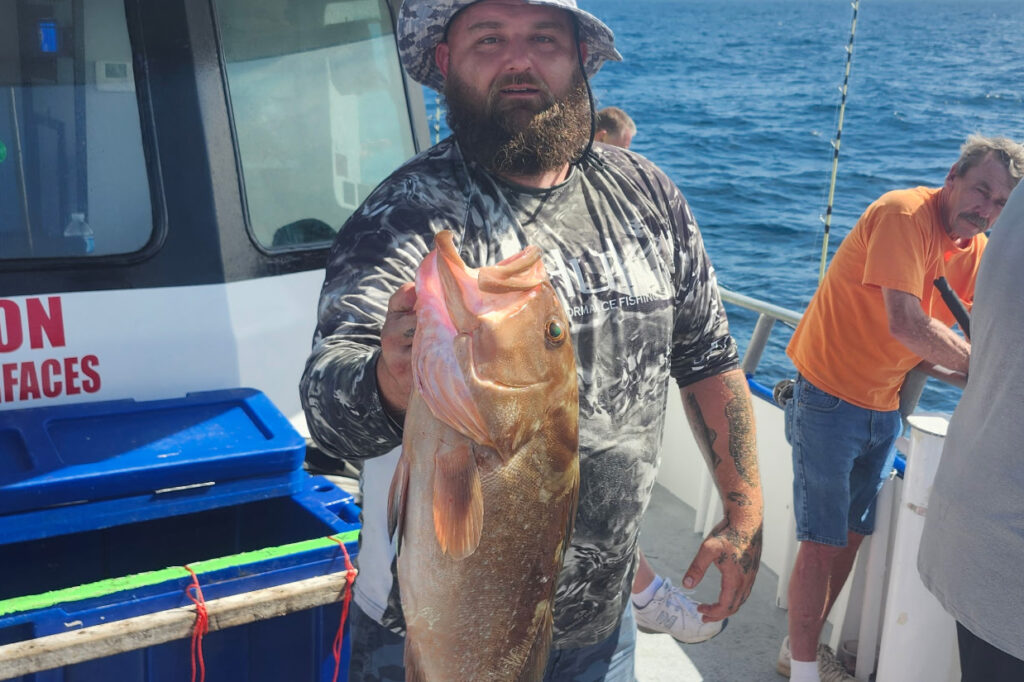 OFFSHORE-redgrouper (1)