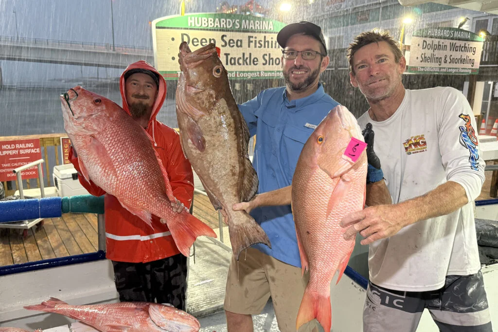 OFFSHORE-redgrouper-snapper