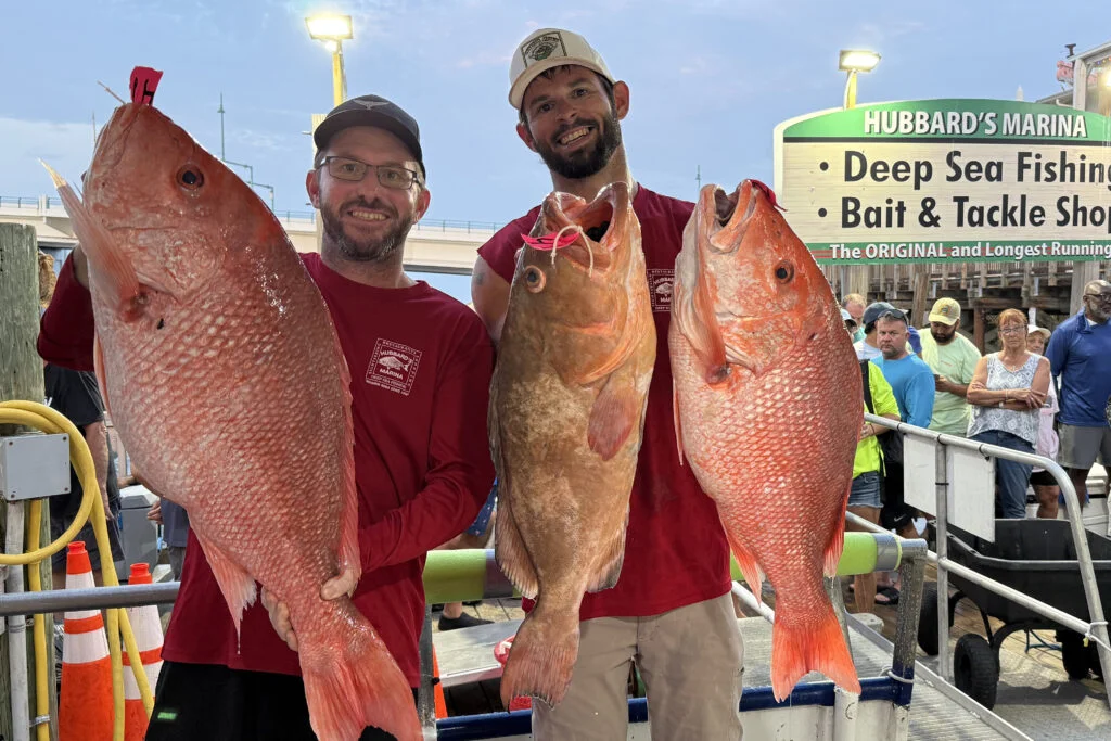 OFFSHORE-redsnaper-grouper