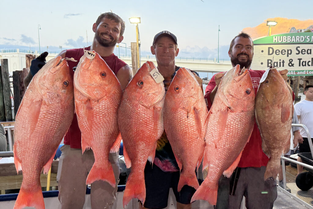 OFFSHORE-redsnapper-best2