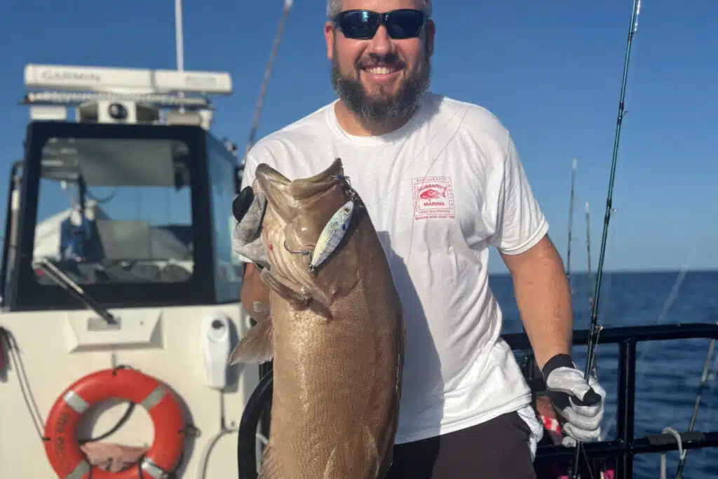 OFFSHORE-scampgrouper (1)