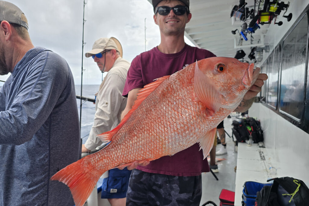 OFSHORE-redsnapper8