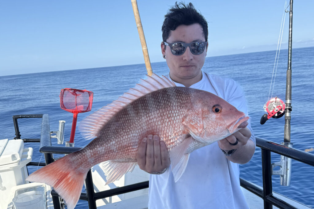 offshore (30)