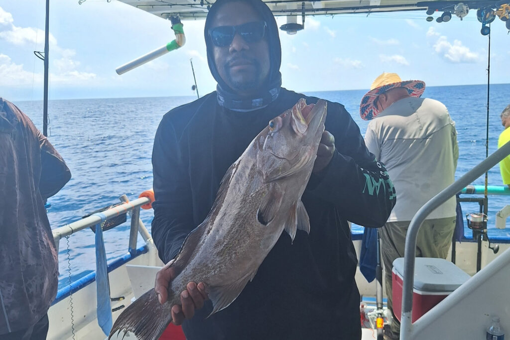 offshore (40)