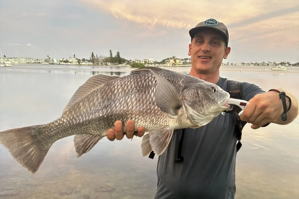 INSHORE-blackdrum