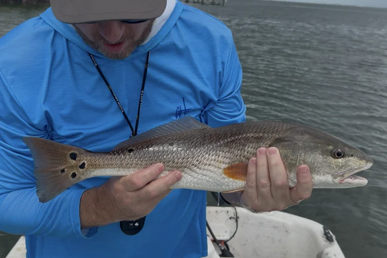 INSHORE-redfish5