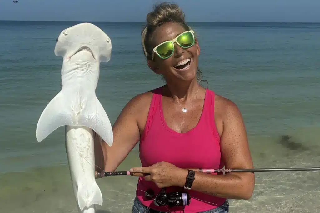 INSHORE-shark (1)