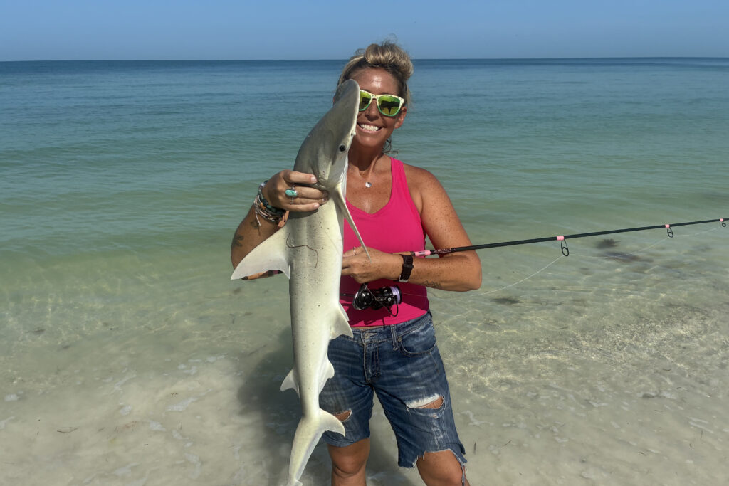 INSHORE-shark