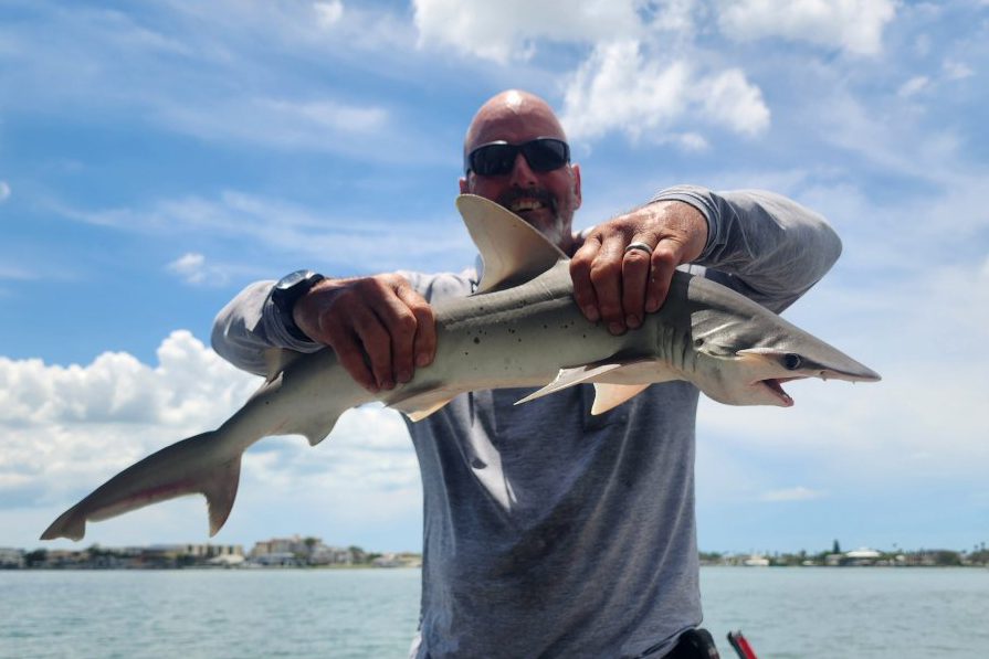 INSHORE-shark