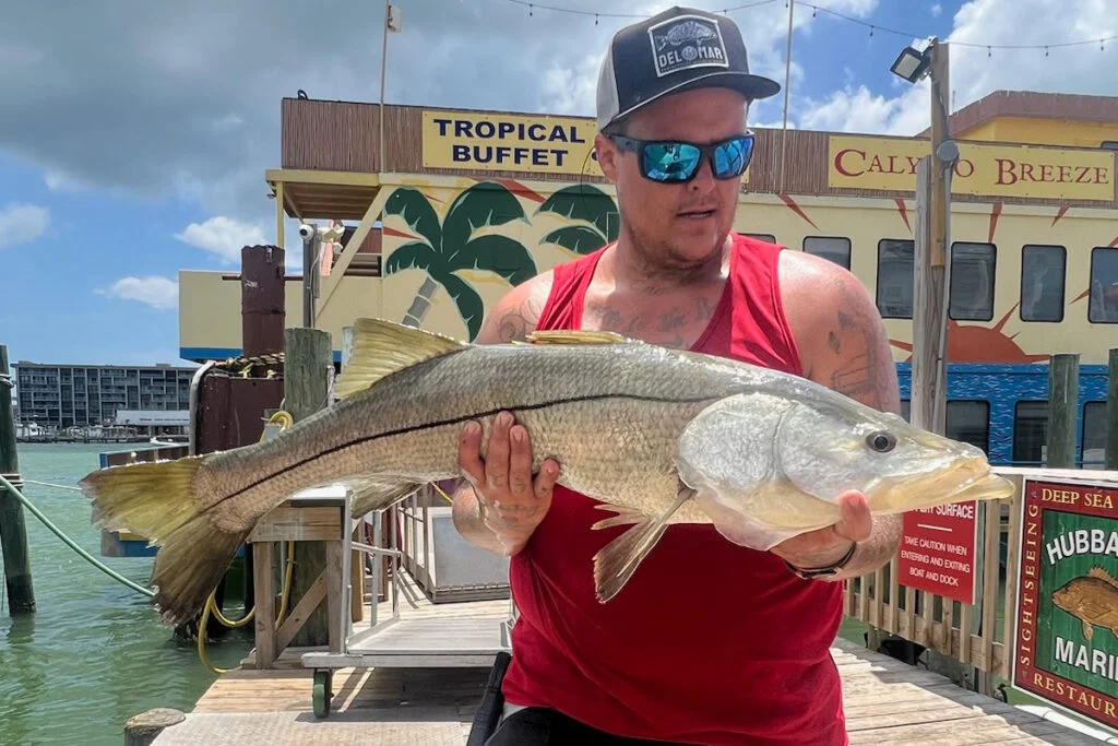 INSHORE-snook (1)