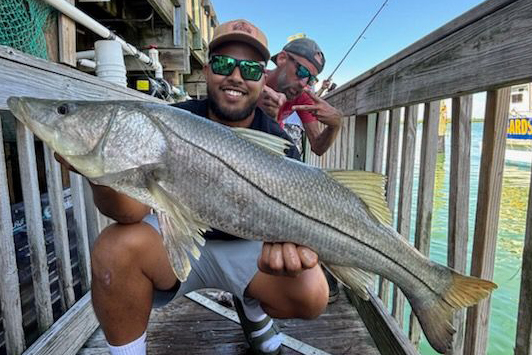 INSHORE-snook (1)