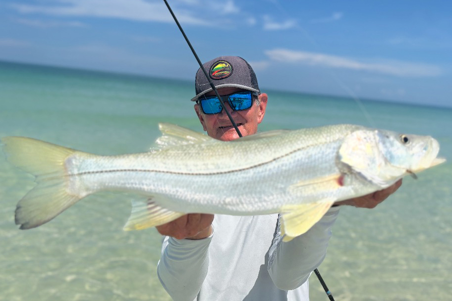 INSHORE-snook (2)