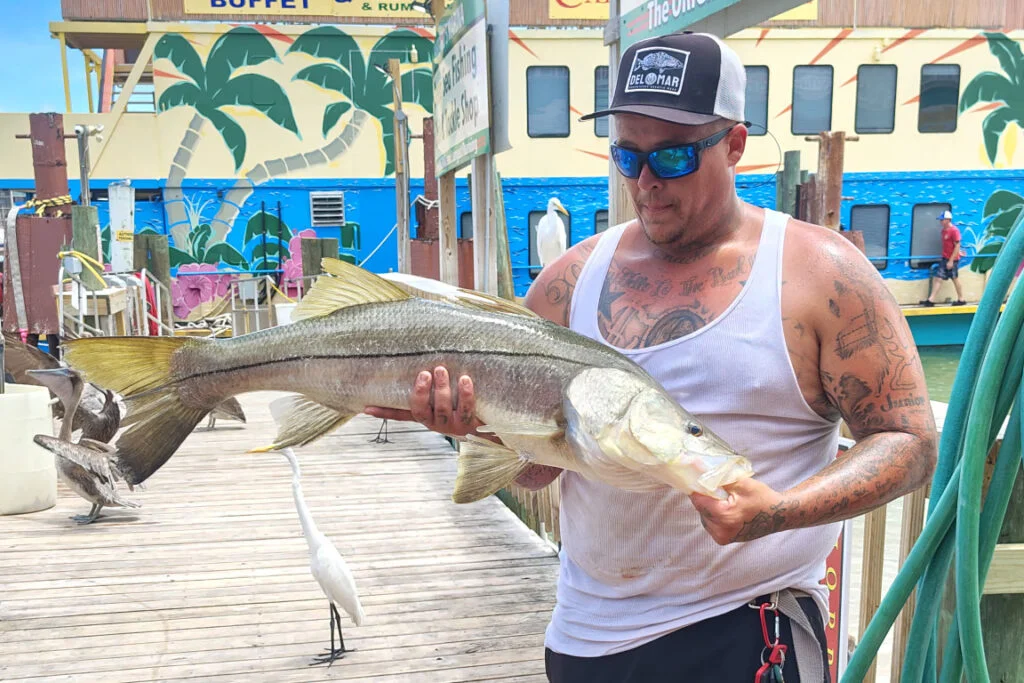 INSHORE-snook (3)