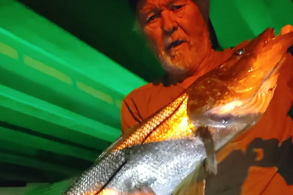 INSHORE-snook4