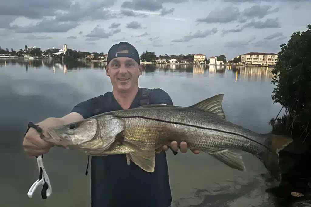 INSHORE-snook6
