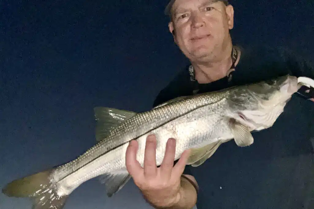 INSHORE-snook6