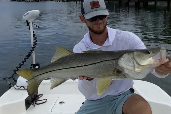INSHORE-snook6