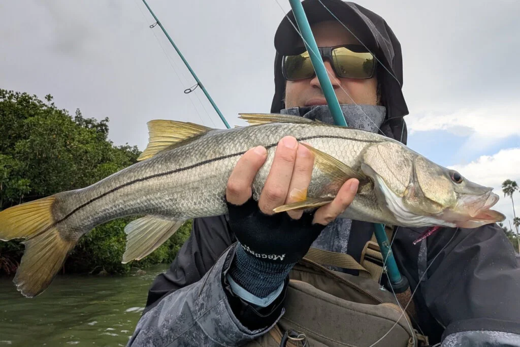 INSHORE-snook8