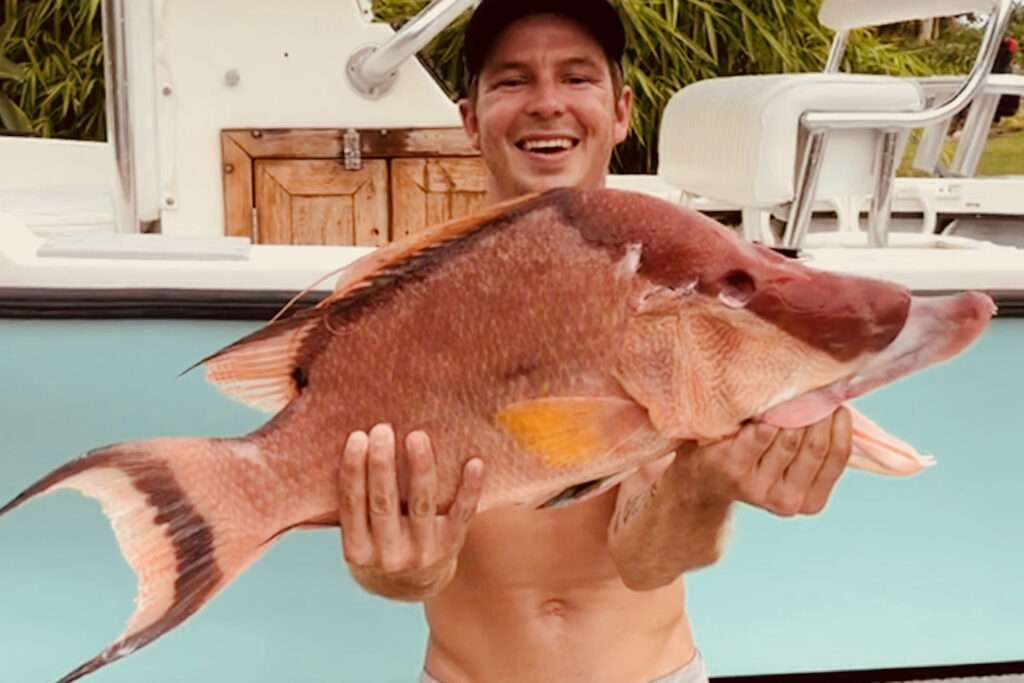 NEARSHORE-hogfish