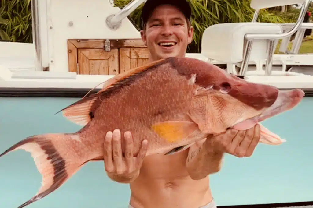 NEARSHORE-hogfish